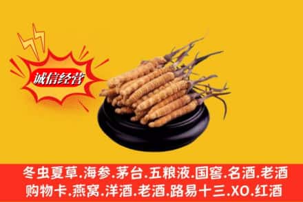 错那县求购回收虫草多少钱每克